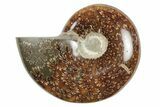 3.15" Polished Ammonite Fossil - Madagascar - #199190-1